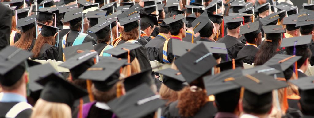 graduate education at usf